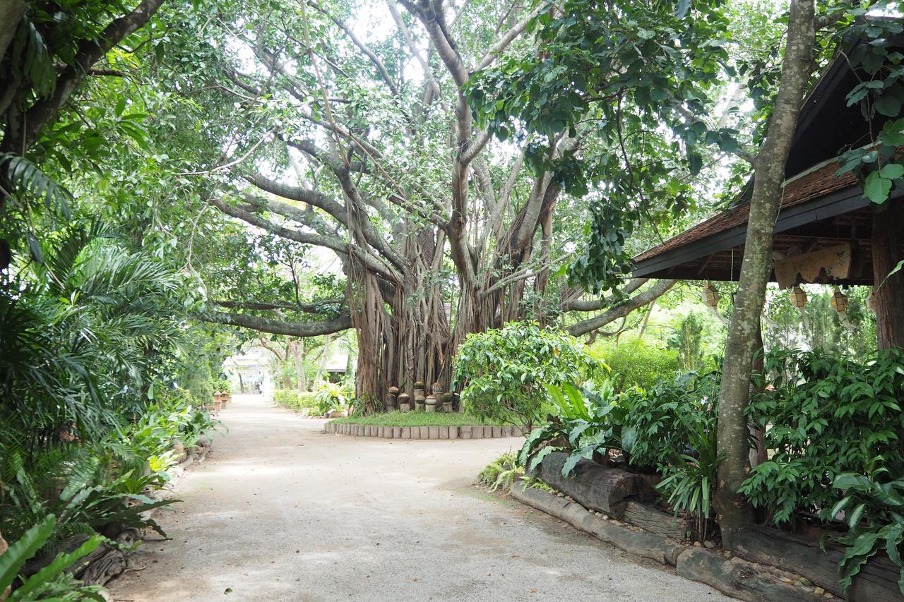 Khum Khun Wang Resort Mae Wang Exteriör bild